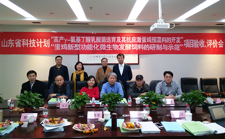 山东众成饲料 dongtai.jpg